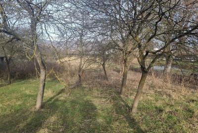 Casa de vanzare central  in Fagaras - 13