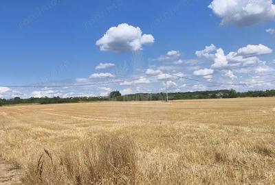 Teren de 7100 mp, în Păulești - 8