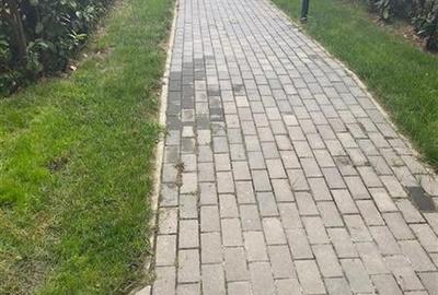 Apartament 3 camere Parcul Carol - 12