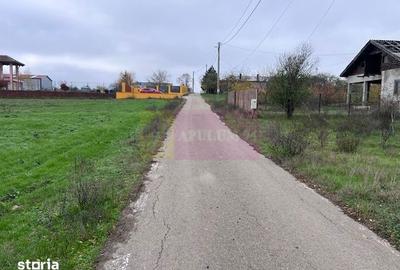 Teren de 2500 mp, în Comana - 1