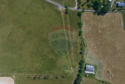 Teren Bran -Sohodol, Strada La mesteceni, 6900mp - 12