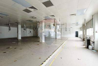 Inchiriere Spațiu Industrial/Productie | Mihai Bravu | Oportunitate! - 59