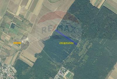 Teren extravilan de 10000 mp, în Afumați