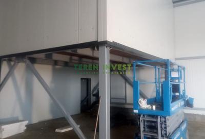 Hala depozitare -  Cernica  Theodor Pallady - 10