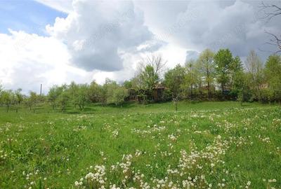 Casă cu 3 camere cu Teren 4977 Mp în Brad - 7