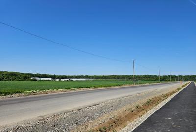 Scrovistea- Balteni-Peris, teren intravilan, 17.714mp langa padure Scrovistea- Balteni-Peris, teren intravilan, 17.714mp langa padure - 3