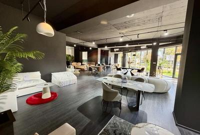 Spatiu comercial 270mp de inchiriat in zona Nord Spatiu comercial 270mp de inchiriat in zona Nord - 16