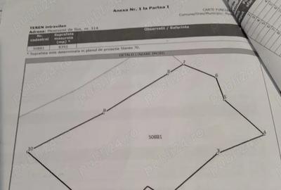 De vanzare casa la tara - 2