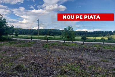 Teren Cerbu - Albota - cu PROIECT CASA si AVIZE - 3