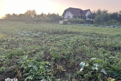 Teren de 1800 mp, în Libertății - 7