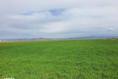 Spațiu comercial, în Central - 3