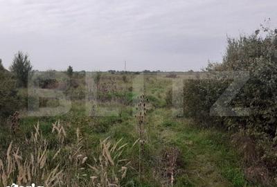 Teren de 39600 mp, în Iosefin - 1