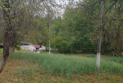 Casa + Teren de vanzare Stoenesti-Dobriceni ! Jud.Valcea - 1