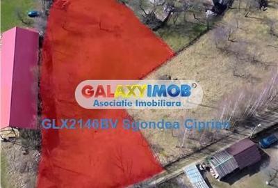 Spațiu comercial, în Predeluț