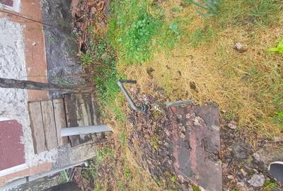 20 de arii si 2 case in Fi?cau - 3