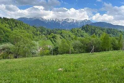 PROPRIETAR - 3274 mp intravilan Simon (BRAN) - 7