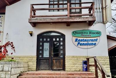 Casă cu 4 camere cu Teren 4500 Mp în Schitu Duca - 1