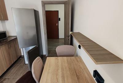 Apartament cu 3 camere decomandat, mobilat în Metalurgiei - 13