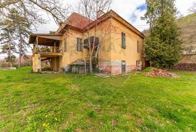 Conac aristocratic secolul XIX , domeniu  2,5 hectare -- Paulis, Arad - 5