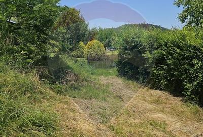 Teren  intravilan  de vanzare Oras  Saliste  Strada Livezii Jud. Sibiu - 29
