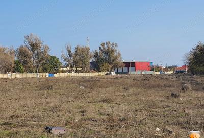 Teren de 7500 mp, în Viile Noi