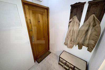 Apartament cu 2 camere semidecomandat, mobilat în Brazda lui Novac - 7