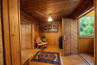 Casă cu 3 camere cu Teren 1360 Mp în Lunca - 6