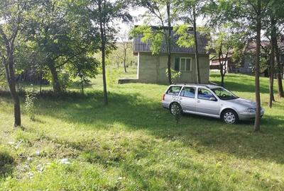 Teren de 5000 mp, în Pălatca - 3