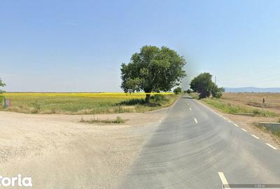 Teren de 480000 mp, în Vladimirescu