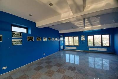 Spațiu comercial, de 270 mp, în Central - 9