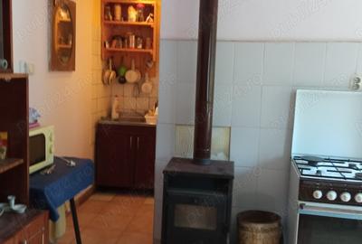 Casa de vanzare in loc.Izvoarele com.Livezile.jud.Alba - 5