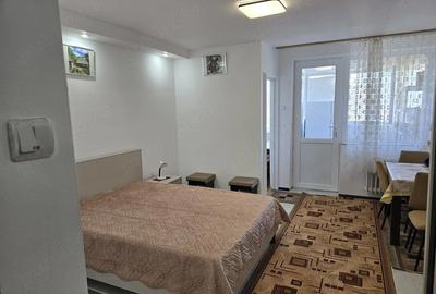 Garsonieră semidecomandată în Brazda lui Novac - 3