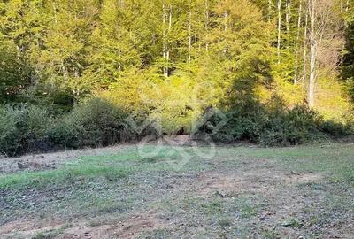 Teren de 2482 mp, în Bratca - 11