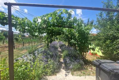 RECO casa in Osorhei - 3