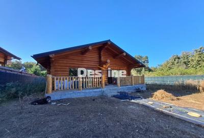 Ciurbesti - Miroslava, Cabana de lemn 117mp, 69.900 euro - 8