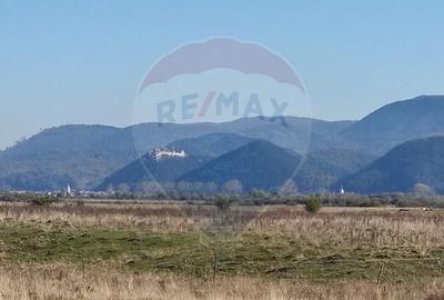 Teren Extravilan - Tohanul Nou, Zona Muntilor Bucegi - 3