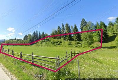 Teren Intravilan Dorna Arini, curent, apa, asfalt - Vatra Dornei - 2