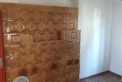 Casa Vadu Moldovei... 2 imobile...14 camere - 5