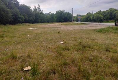 Teren de 1300 mp, în Paltin - 2