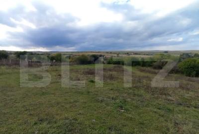 Teren de 15000 mp, în Ciurila - 4