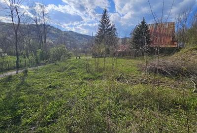 Teren în Brebu - 7