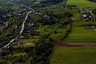 Teren de 6202 mp, în Palilula - 4