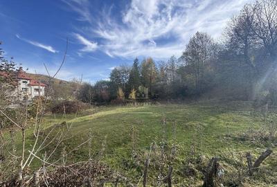 TEREN INTRAVILAN 13167 MP BUGHEA DE SUS ARGES - 2