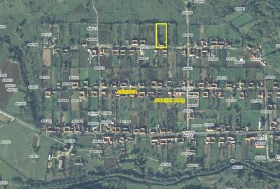 Casă cu Teren 2878 Mp în Central - 3
