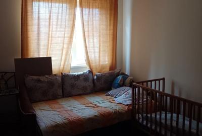 Casă cu 3 camere cu Teren 1331 Mp în Romanu - 3