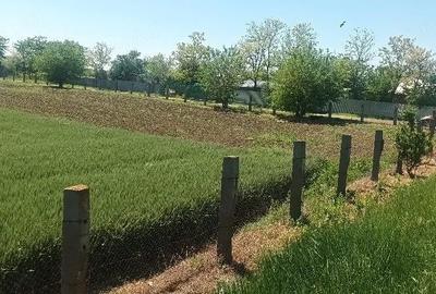 Teren de 16600 mp, în Surdila-Greci - 7