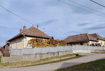 Casa locuibila, cu doua corpuri, utilita?i, 1200 mp teren - 11