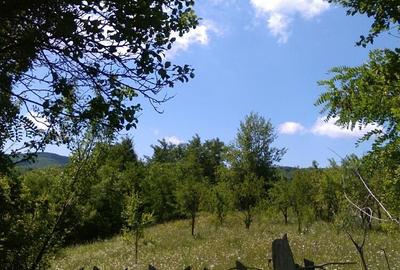 Teren de 3600 mp, în Aluniș - 2