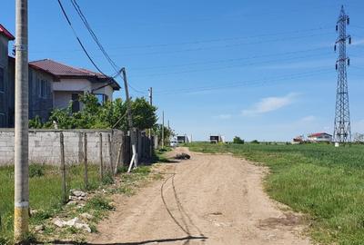 Viile noi . comarnic colt cu Fantanele - 1