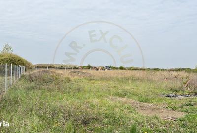 Spațiu comercial, în Central - 2